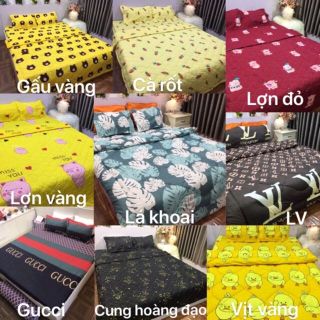Bộ ra gối cotton poly 5 món
