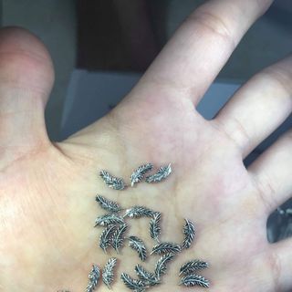 Phụ kiện lá đính nail