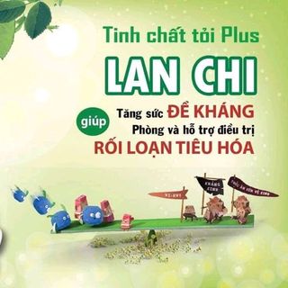 Tinh Chất Tỏi Plus Lan Chi