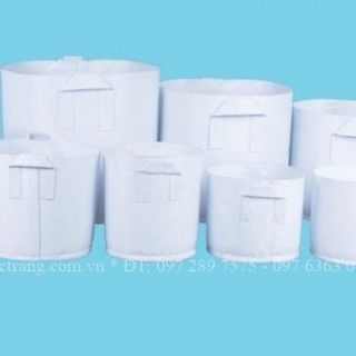 Túi vải trồng cây 50x40cm 2 quai xách kích thước giá sỉ giá bán buôn