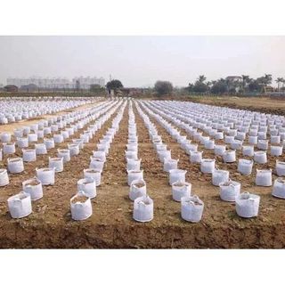 Túi vải trồng cây 30x25cm 2 quai xách kích thước giá sỉ giá bán buôn