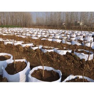 Túi vải trồng cây kích thước 35x30cm 2 quai xách giá sỉ giá bán buôn