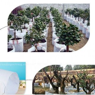 Túi vải trồng cây 30x30cm 2 quai xách giá sỉ giá bán buôn