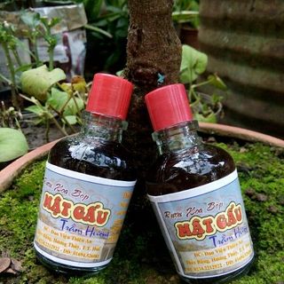 rượu xoa bóp mật gấu Trầm Hương đan viện Thiên An