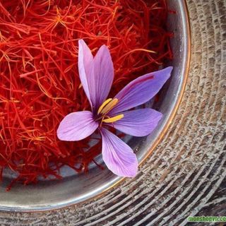 SAFFRON NEGIN - NHUỴ HOA NGHỆ TÂY LOẠI THƯỢNG ĐẲNG