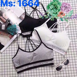 Bra 1664