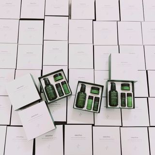 Bộ Dưỡng Serum Trà Xanh inisfree