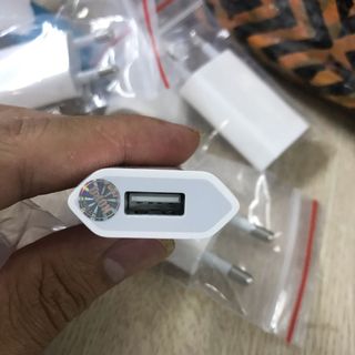 Củ dẹt Chân Hàn Zin