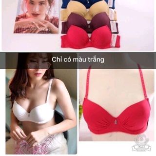 đồ lót nữ mã 848
