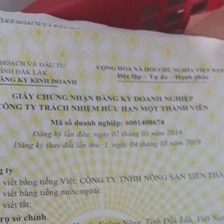 Ca Cao Nguyên Chất Tây Nguyên