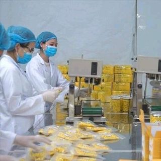 Viên nghệ mật ong