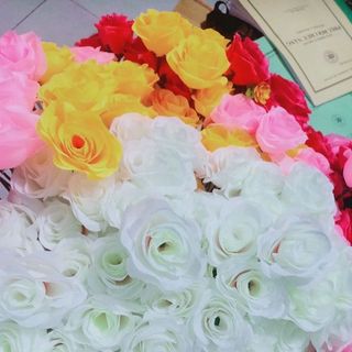 đầu hoa vải