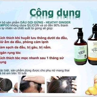 Dầu gội làm từ Gừng giá sỉ