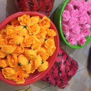 đầu hoa vải