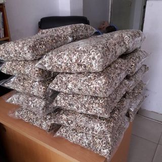 Hạt chùm ngây 1kg