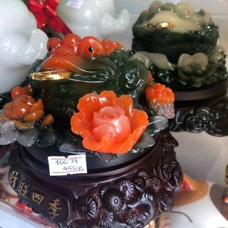 Cóc thềm từ 10078