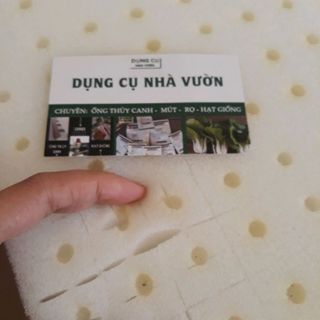 Mút xốp ươm hạt trồng rau thủy canh