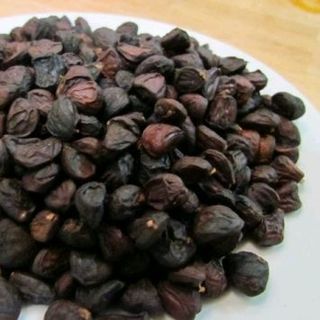 hạt dổi xanh