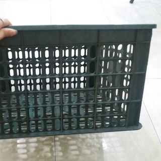 Bán buôn rổ xoài 20kg Phú Hòa An số lượng lớn giá rẻ