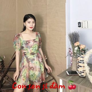 Đầm
