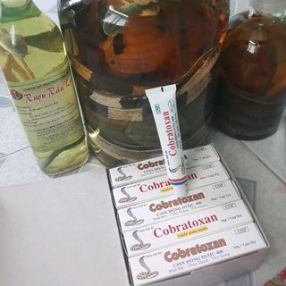 Kem xoa nọc rắn hổ mang 10tuyp/hộp