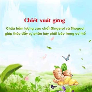 gel tan mỡ Lipo slim vychi