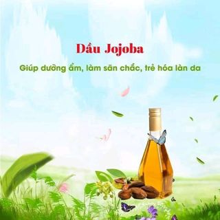gel tan mỡ Lipo slim vychi