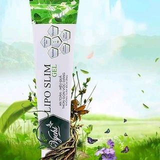 gel tan mỡ Lipo slim vychi