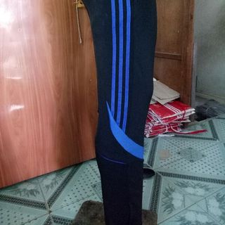 quần thể dục học sinh