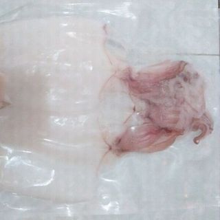 Khô mực một nắng