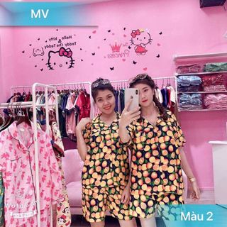 Bộ hoa quả cam chanh