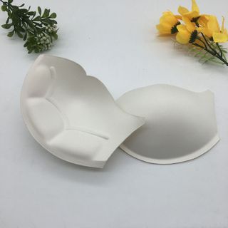 Mút đệm Áo ngực Bracup 5073 - 10 CẶP