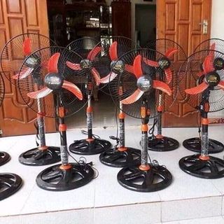 quạt cây mát mùa hè