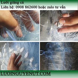 lưới giăng cá lớn trên sông