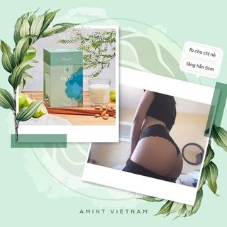 Tăng Mông Săn Chắc Amint