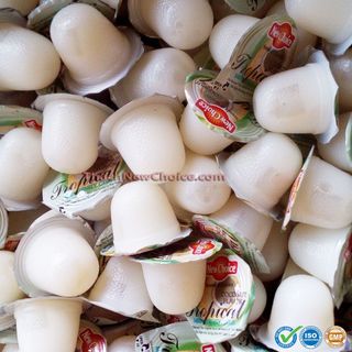 Thạch rau câu New Choice hương vị trái dừa - gói 1kg