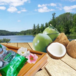 Thạch rau câu New Choice hương vị trái dừa - gói 1kg