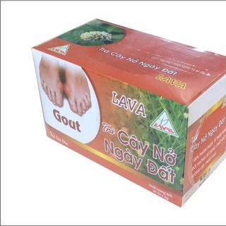 Trà cây Nở Ngày đất LAVA 30 túi x 5gr giá sỉ