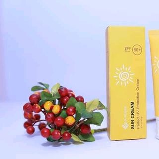 Kem chống nắng SUN CREAM AMBERE giá sỉ