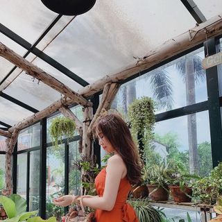 JUMP CỔ YẾM XOẮN EO