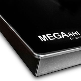 Bếp Từ Megashi MG 22-IC