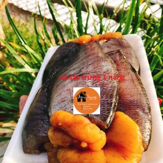 CÁ SẶC TRỨNG 1 NẮNG