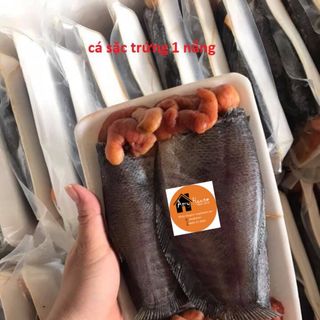 CÁ SẶC TRỨNG 1 NẮNG