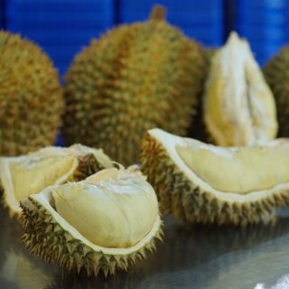 Múi sầu riêng đông lạnh được làm từ trái sầu riêng tươi ngon để đảm bảo được hương vị còn giữ được nguyên bản nhất Múi sầu riêng béo bùi dẻo ngọt cùng hương vị sầu riêng thơm lừng sẽ khiến bạn muốn ăn không ngừng Đóng gói Khay 450g Sỉ lẻ
