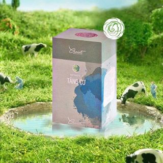 Tăng Cơ - Tăng Mông Amint
