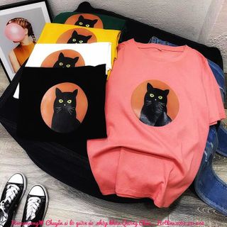 Aó thun chuyên sỉ