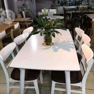 Mangoo 6 ghế giá sỉ