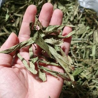 CỎ NGỌT CỎ MẬT NGUYÊN LÁ