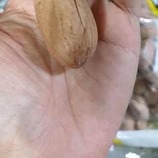 QUẢ HỒ ĐÀO