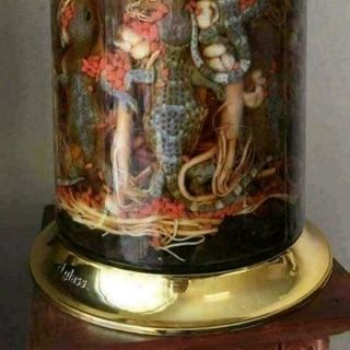 Minh mạng thang